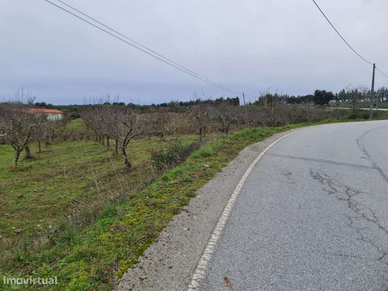 Vende Quinta em Foz Côa c/ 10.000m2 - Grande imagem: 4/5