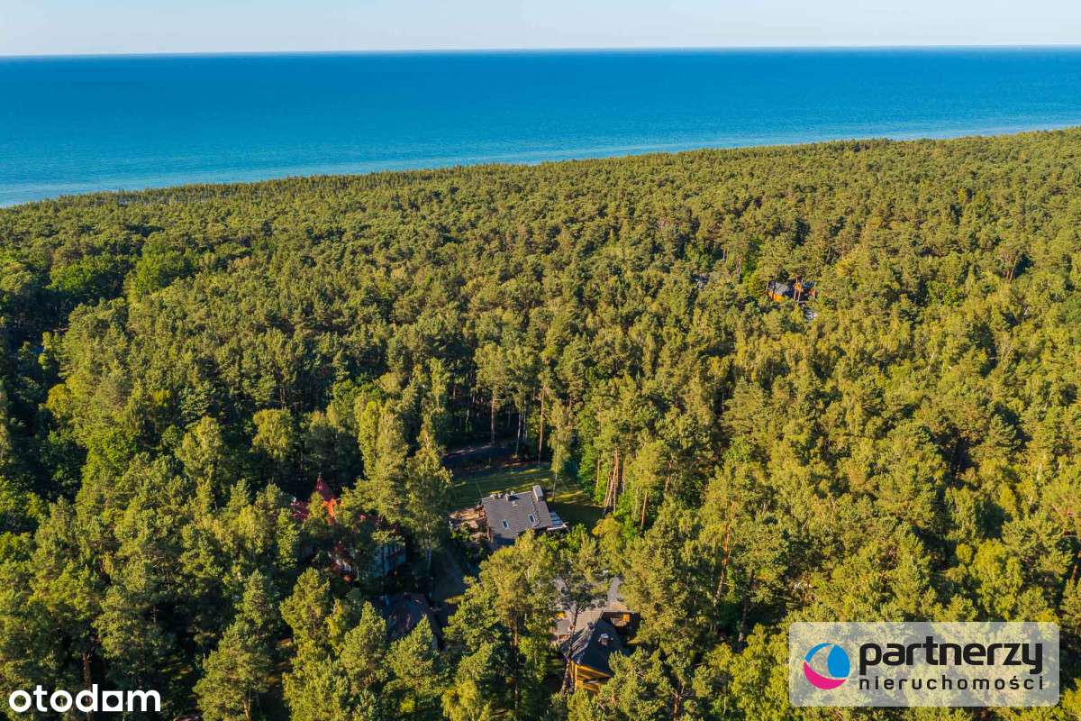 Apartament w otulinie lasu - 400 m od morza! - Pełny obrazek: 4/20