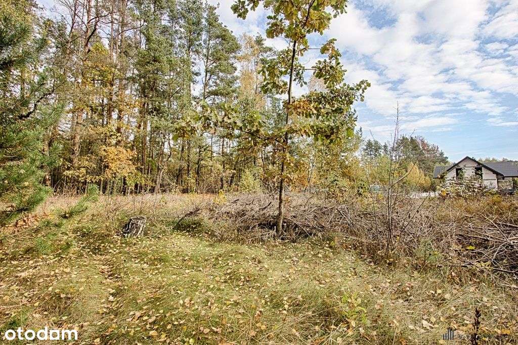 ***Zwierki Działka*** - Pełny obrazek: 4/5