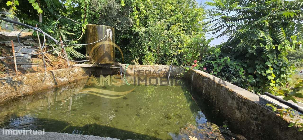 CAMPO PARA VENDA EM GOLÃES - Grande imagem: 4/14