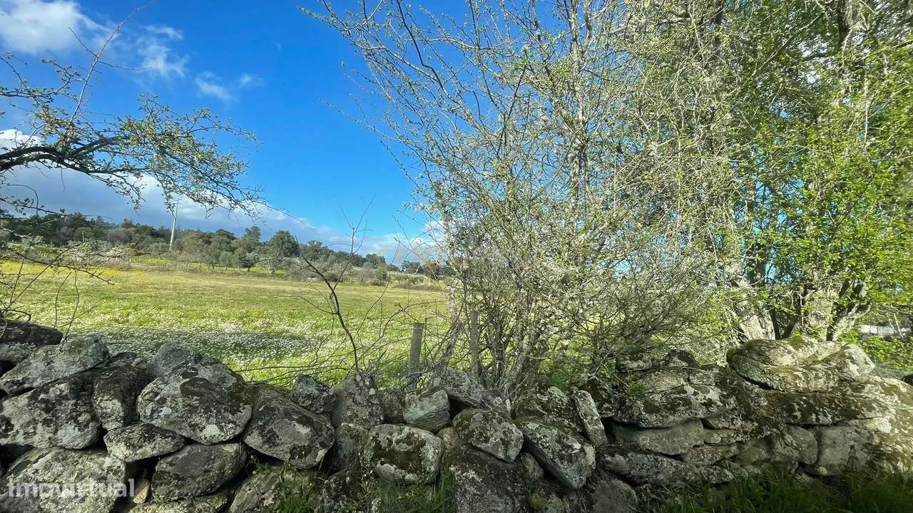 Terreno Rústico | Escalos de Cima, Castelo Branco - Grande imagem: 2/4