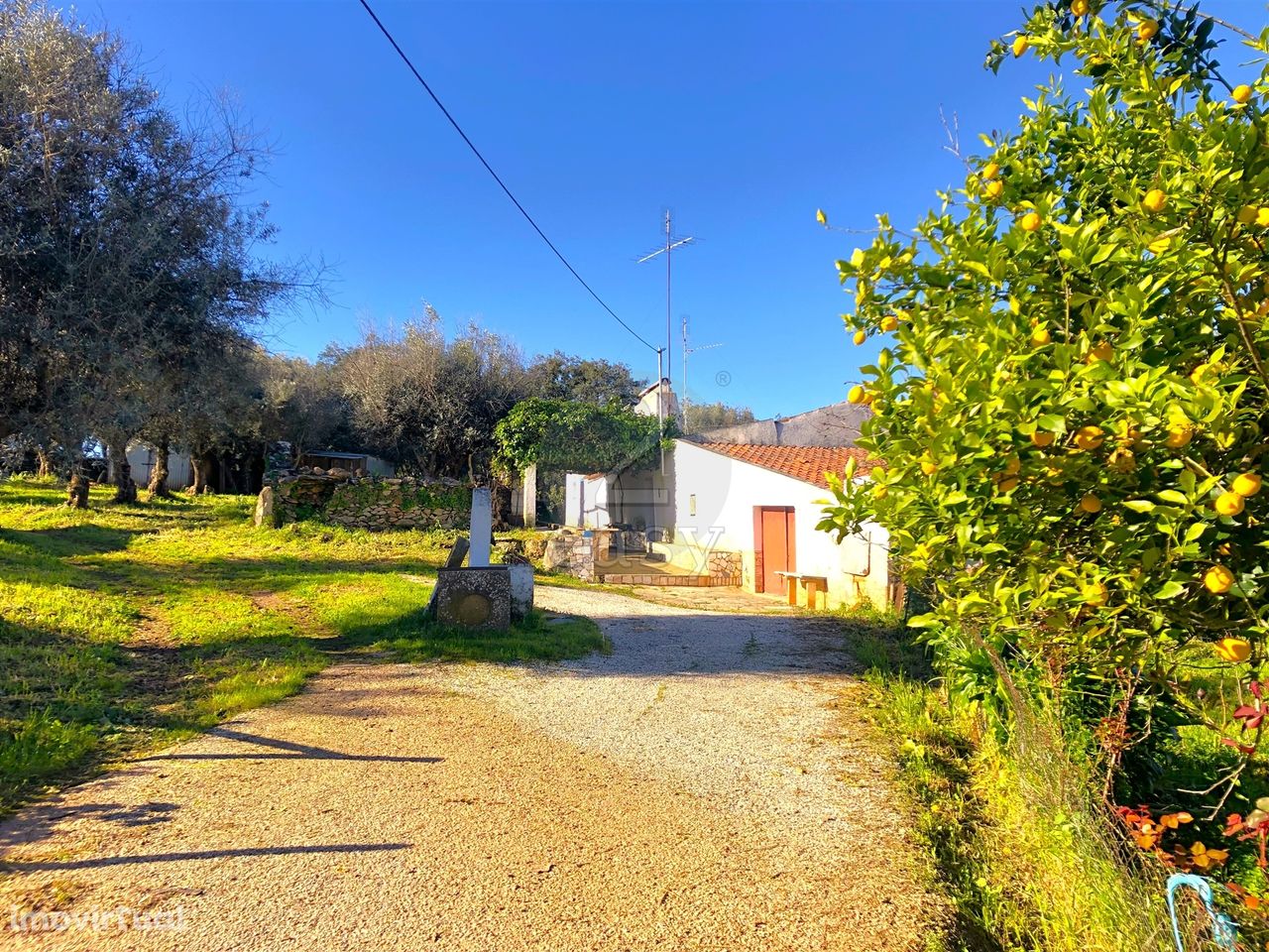 Quinta no Alentejo para recuperar, com potencial turístico, Vila Viços