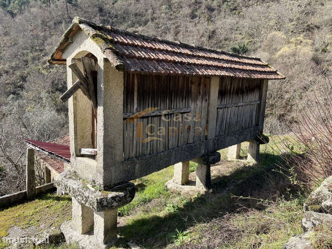 Quinta dos Ujos  - Quintelas - Grande imagem: 5/22