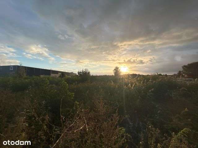 Teren inwestycyjny o szerokim przeznaczeniu-1