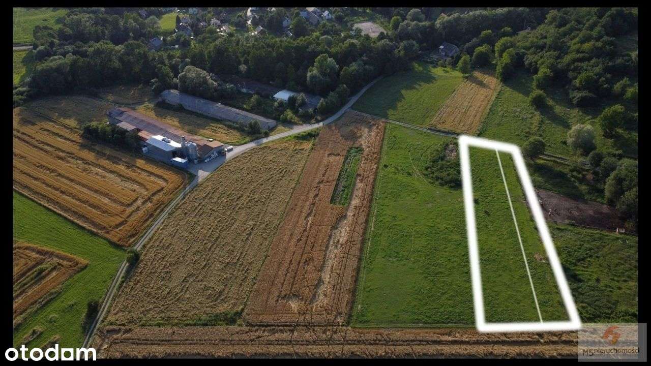 piękna działka 24 ary Radwanowice rolna > zagrodowa-12