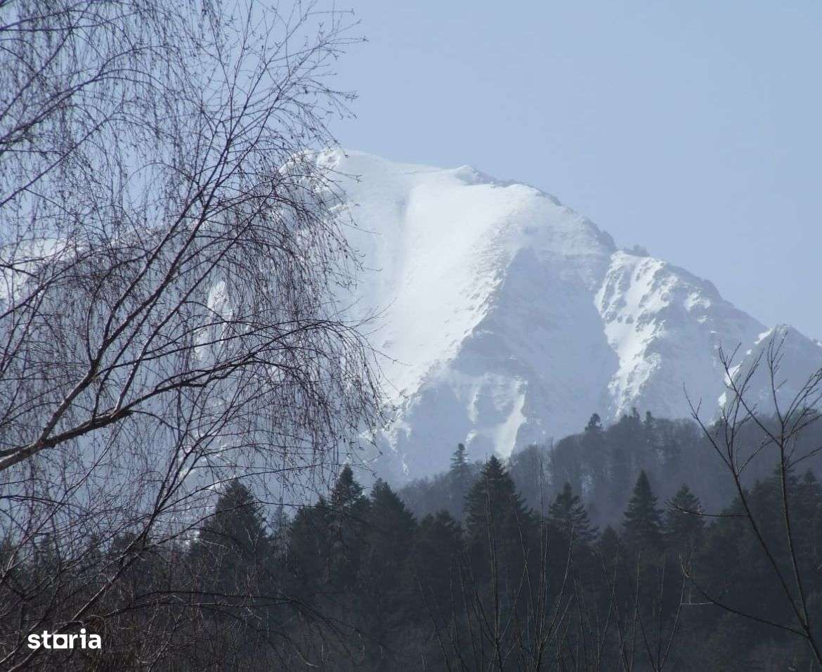 Teren Cioplea Predeal - Imagine principală: 5/6