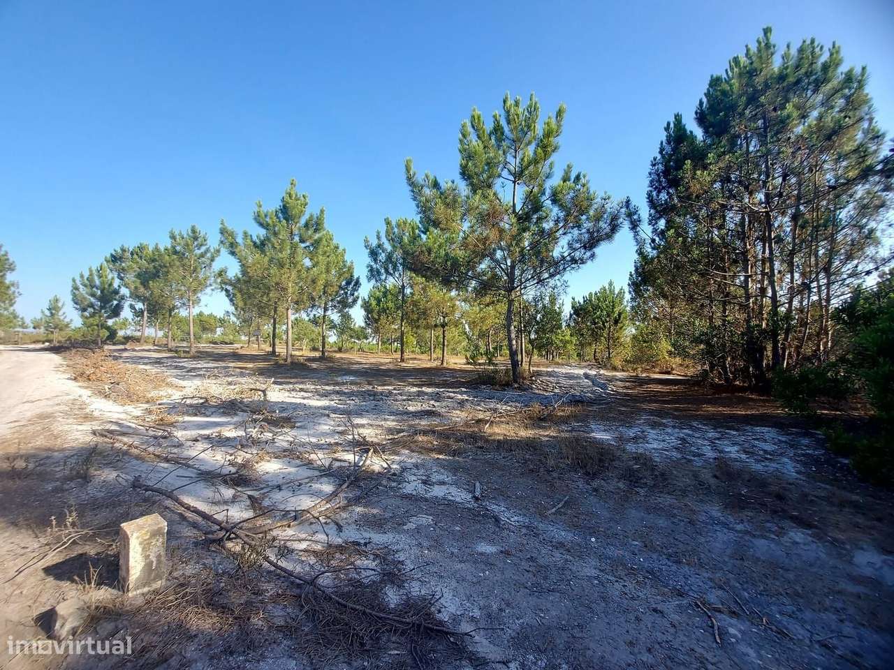 Terreno Rústico em Perímetro Urbano 1.3 ha, Lagoa de Santo... - Grande imagem: 4/16