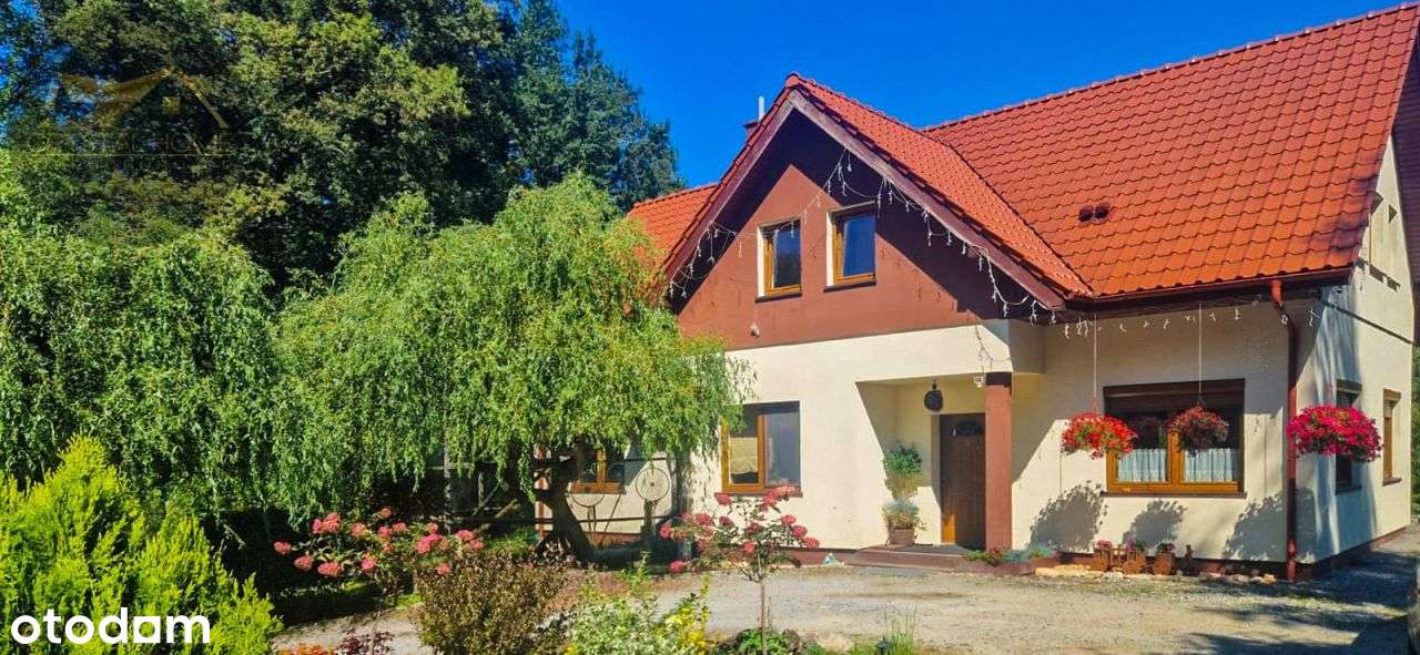 Dom wolnostojący, działka 0,5 Ha - Pełny obrazek: 4/20