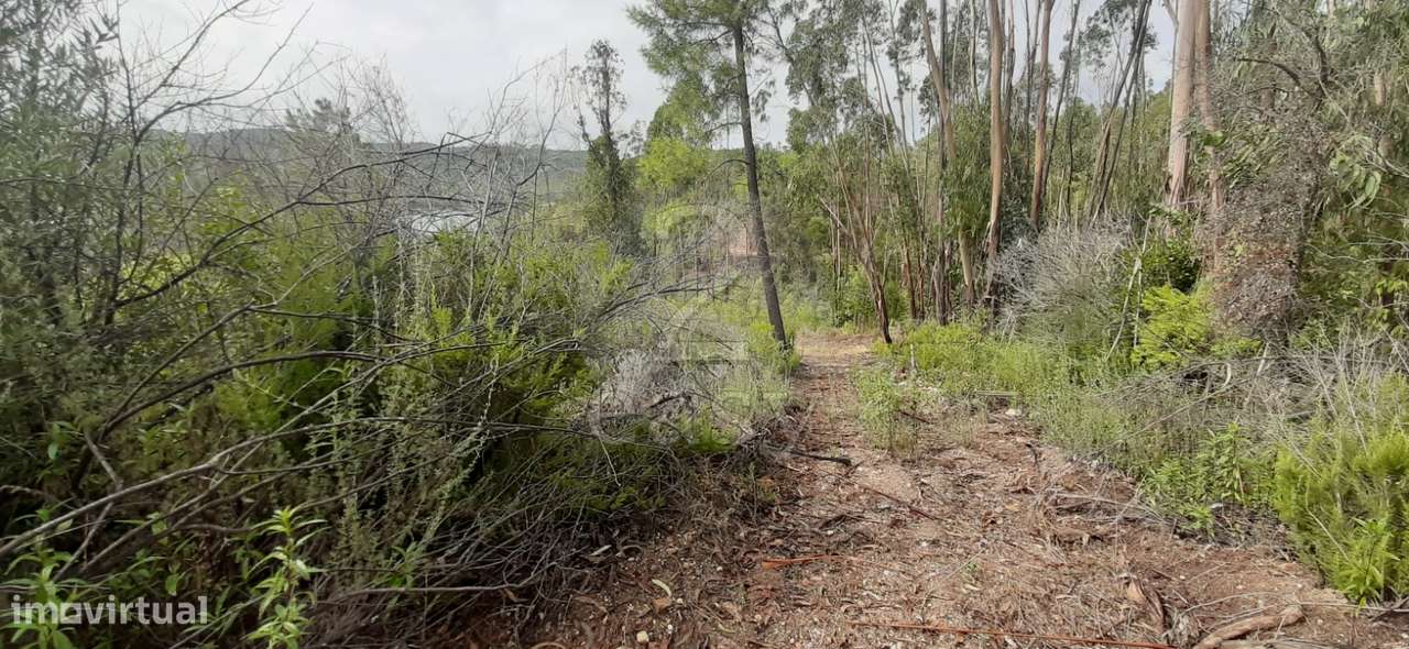 Terreno com microclima  para  Lima - Caviar - Grande imagem: 4/10