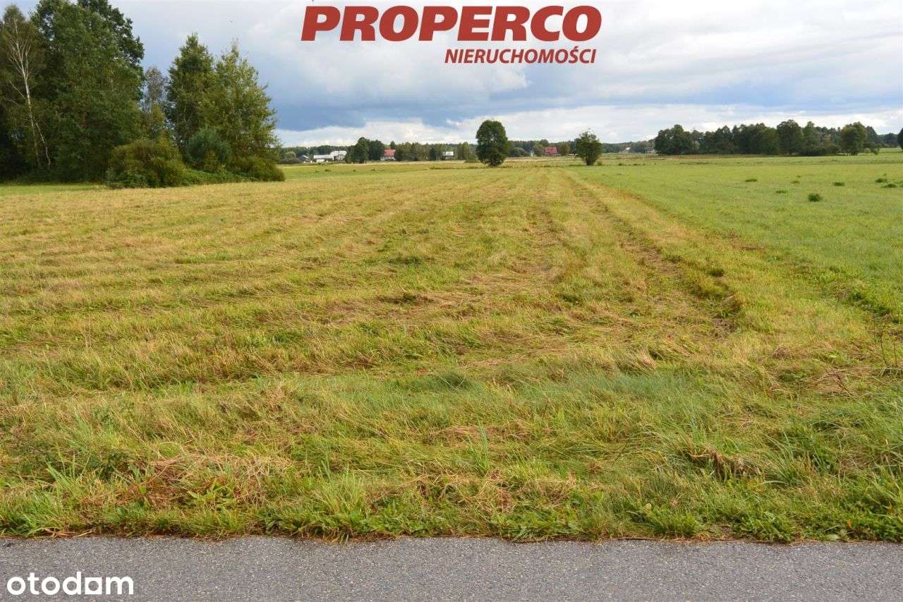 Działka 14800 m2, Antonielów, gm. Łopuszno - Pełny obrazek: 4/5