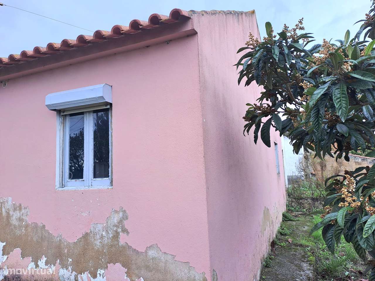 Moradia com 4080 m² para Remodelação, Sarge - Torres Vedras-11