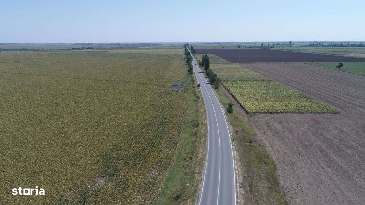 TEREN INTRAVILAN FUNDULEA 63.000 MP  , jUD. CALARASI DE VANZARE - Imagine principală: 5/5