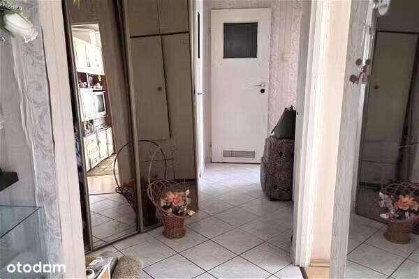 Katowice Paderewskiego ⭐Sowińskiego 56m2 3 pok Balkon - Pełny obrazek: 3/8