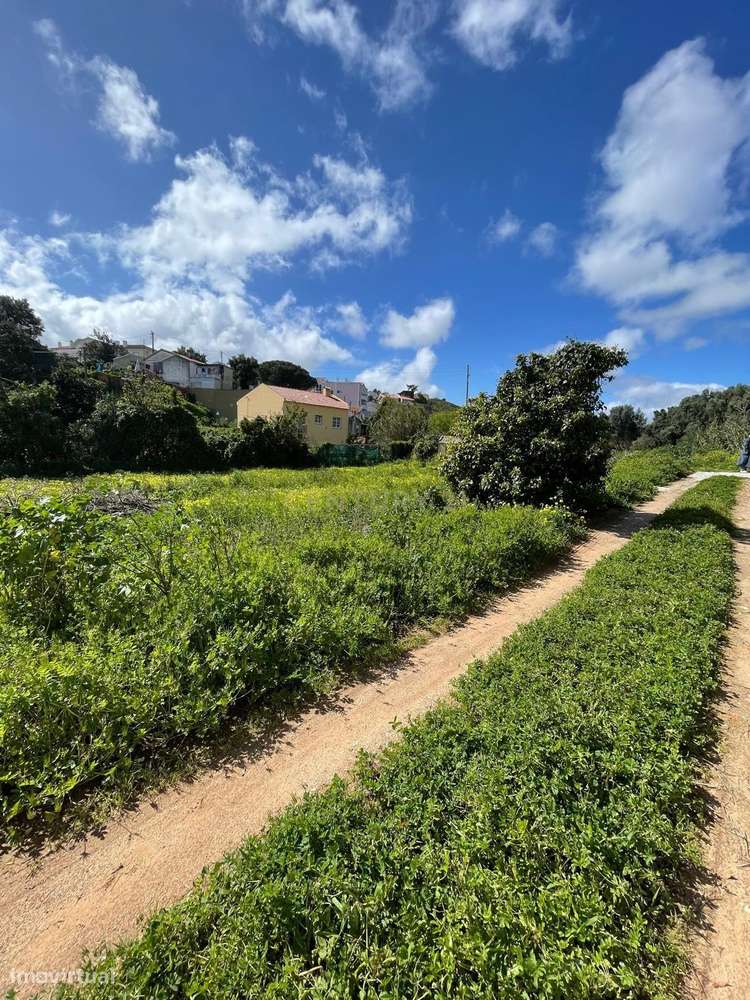 Terreno no Estoril para equipamentos - Grande imagem: 4/10
