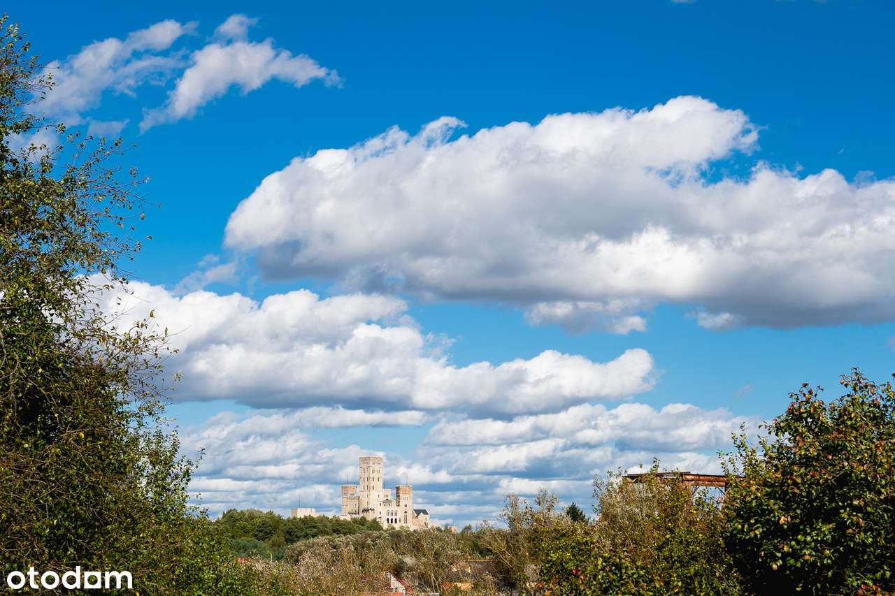Dom i biznes w otoczeniu lasu-0