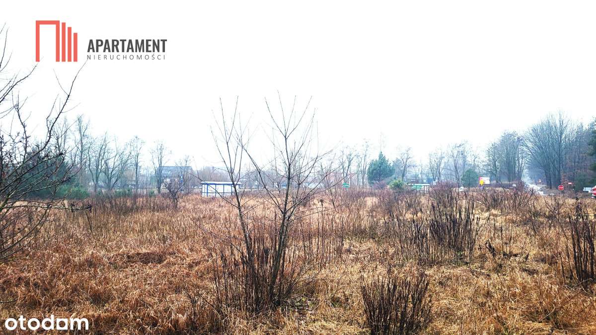 Duża narożna działka z prądem, las, jezioro. - Pełny obrazek: 3/5