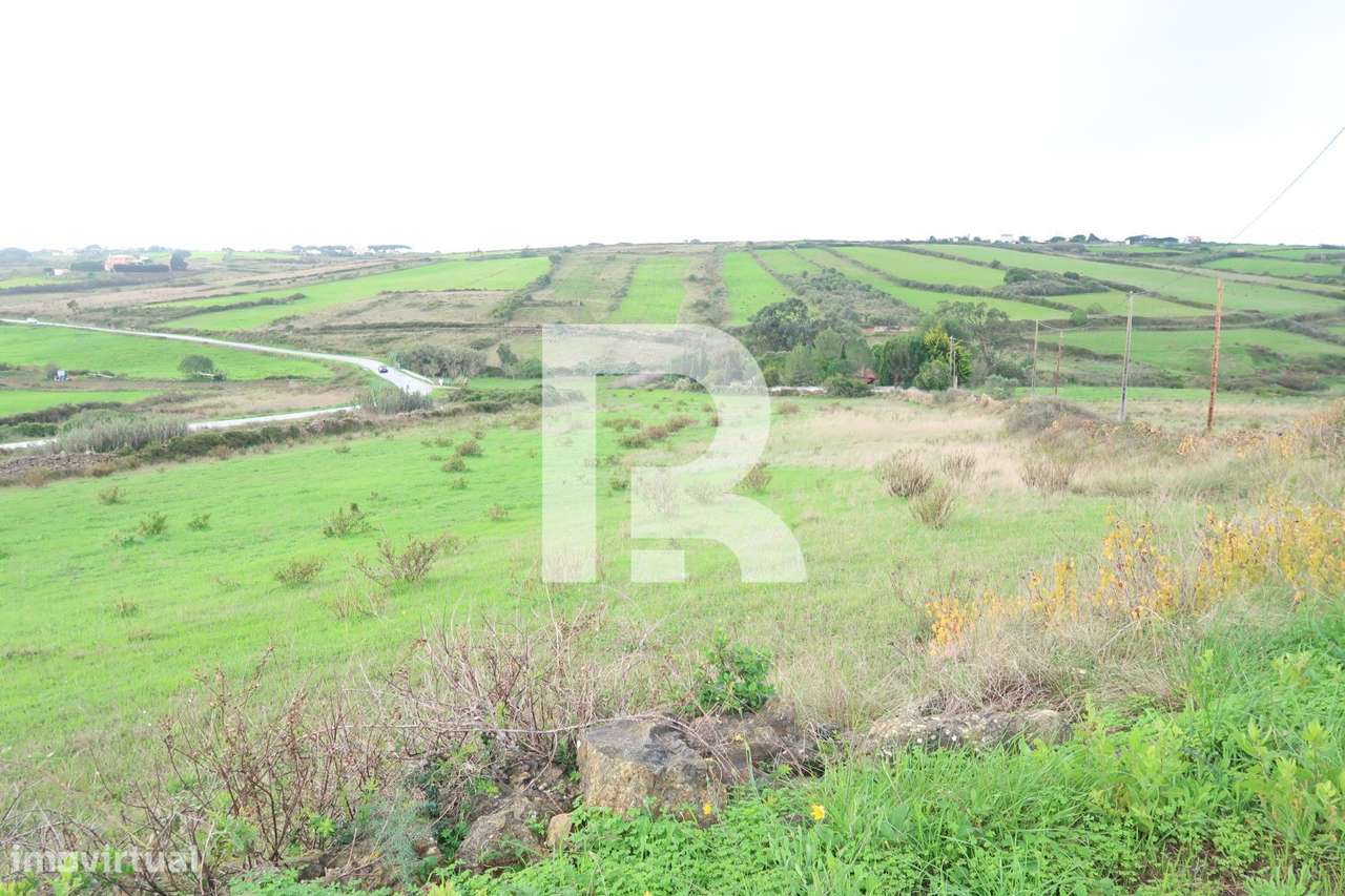 Terreno Rústico em Areias, S. João das lampas - Grande imagem: 3/11