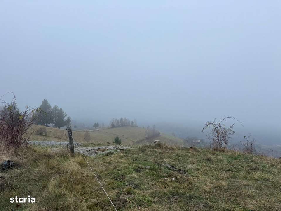 Teren Poiana Marului -Zarnesti -Brasov-7