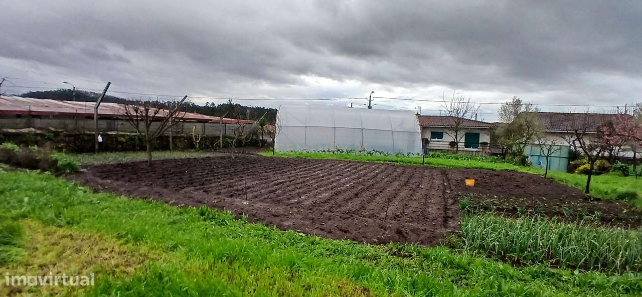 Terreno em Viatodos, Barcelos - Oportunidade Única! - Grande imagem: 4/13