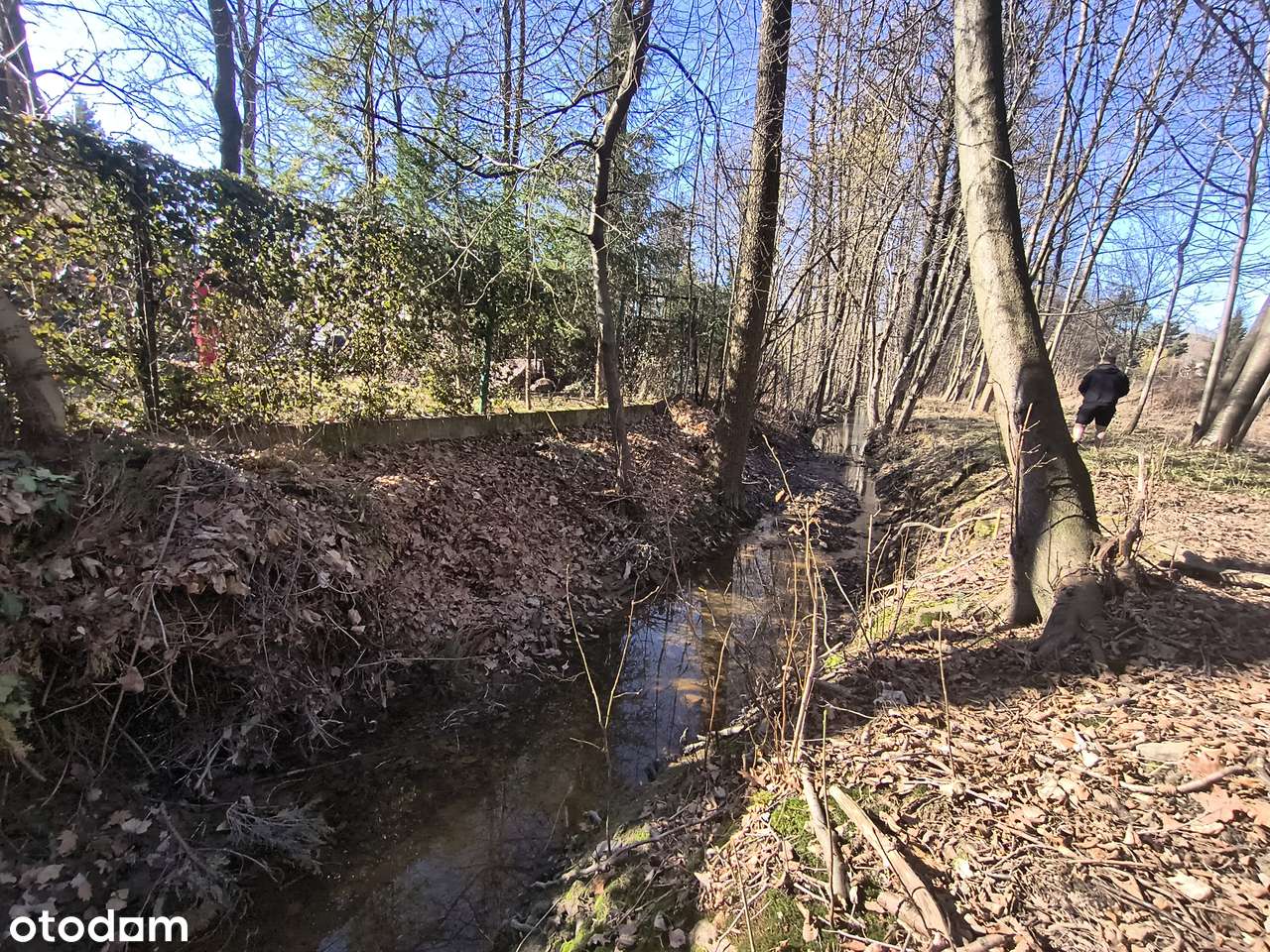 Działka marzeń 3300 m² | Las, strumyk, cisza | Hałcnów-3
