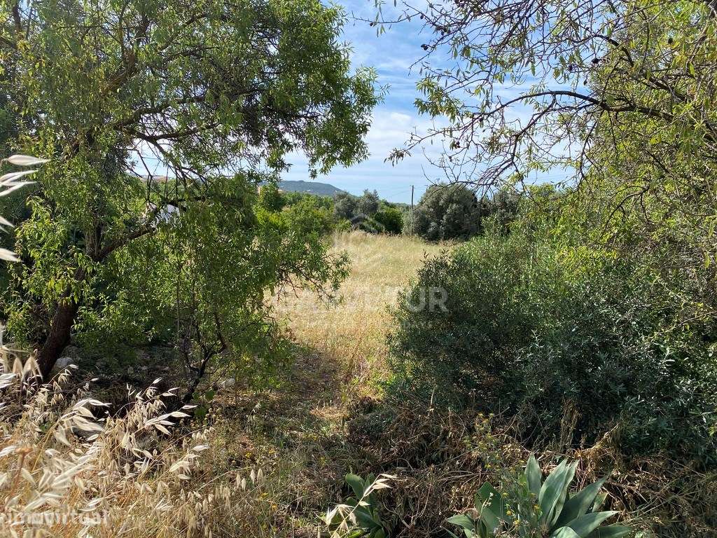 Terreno urbano com 4 947m2. Loulé, Algarve - Grande imagem: 3/16
