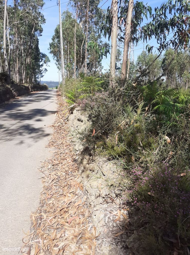 Terreno Rustico em Canedo!