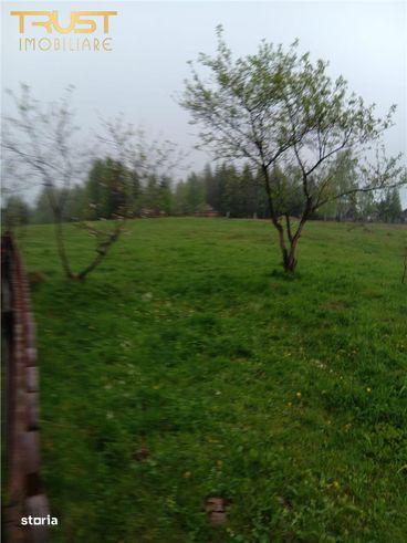 Teren cu casa l Dealu Negru l 15.000 MP l Central-2