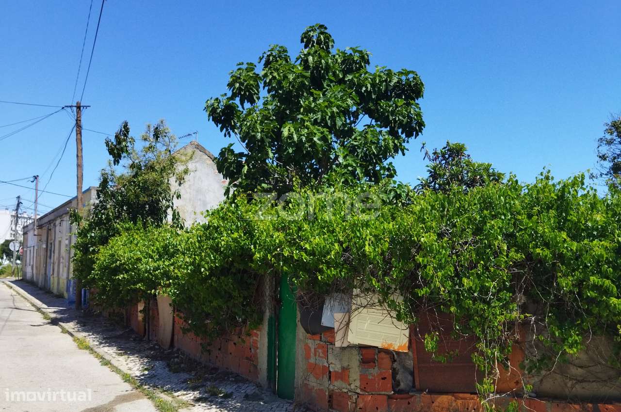 Terreno Urbano Vale Amoreira - Grande imagem: 4/6