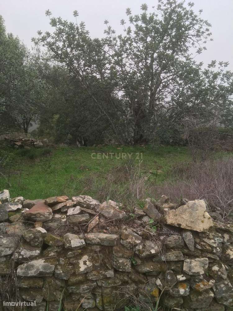 Terreno Urbano em São Barnabé - Grande imagem: 4/4