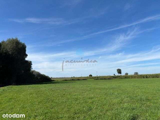 Grunt pod inwestycje Owieczki gm. Łubowo-8