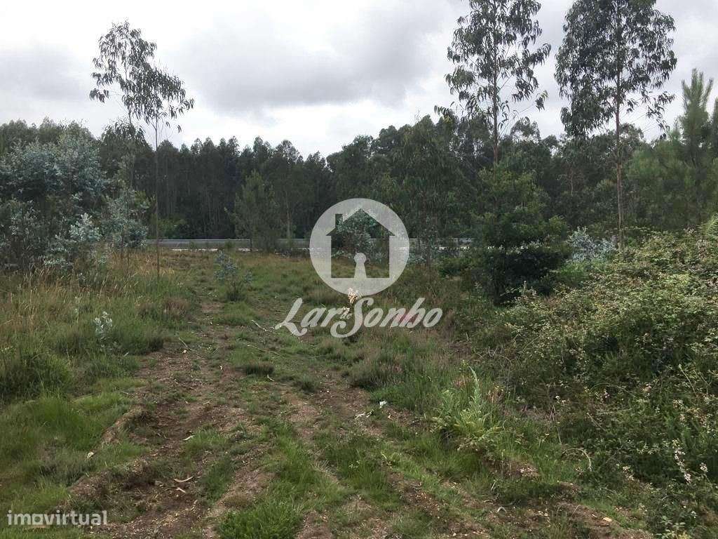 Terreno de construção com 9.500 m2 - São Romão do Coronado, Trofa - Grande imagem: 5/5