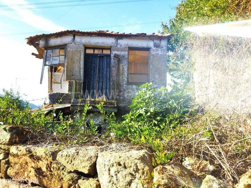 Quintinha / Cinfães, São Cristóvão de Nogueira - Grande imagem: 3/14