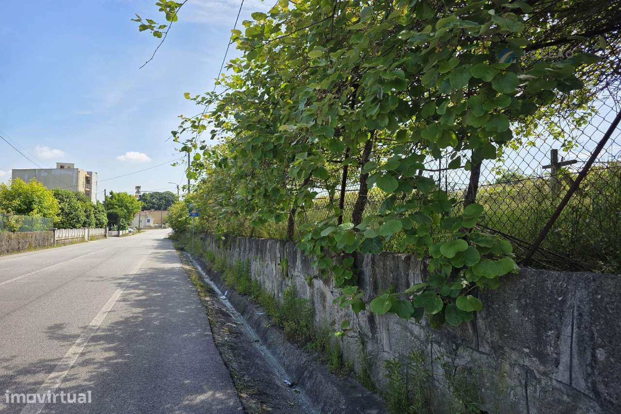 Terreno Rustico c/ 7969m2, para construção no Centro de Baltar - Grande imagem: 5/20