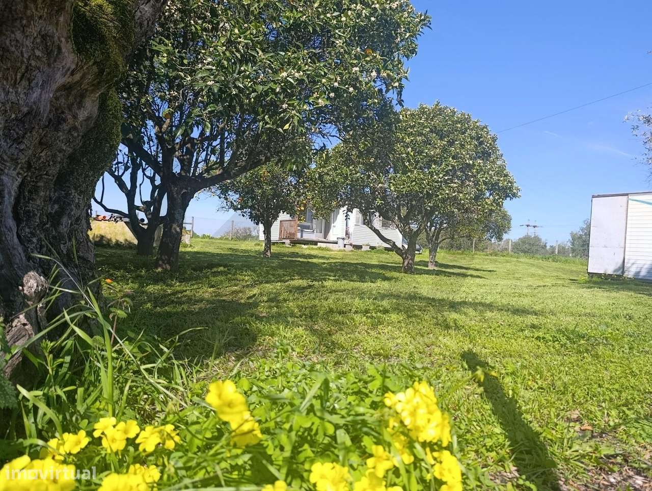 Terreno Urbano  de 4.000m2, Pontevel, Cartaxo-11
