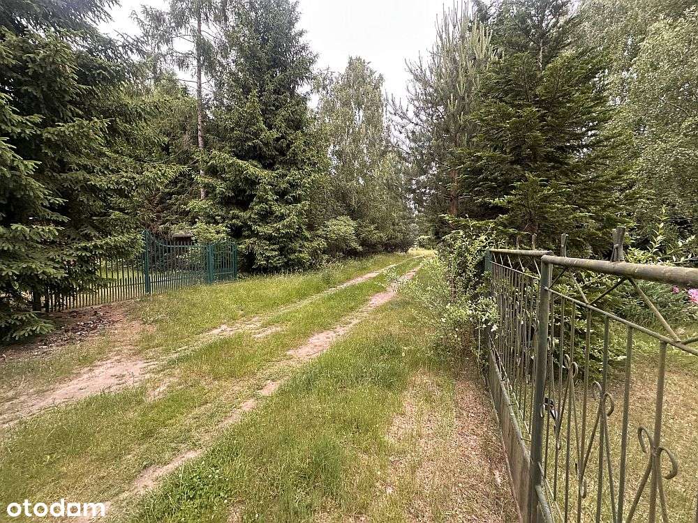 Kontrewers - wsród lasów i spokoju - ogrodzona działka z wodą i prądem - Pełny obrazek: 5/8