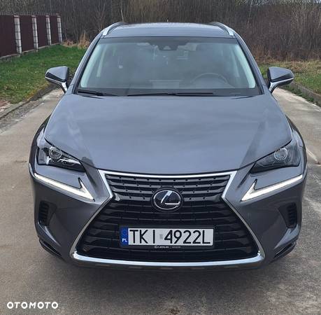 Lexus NX - 5