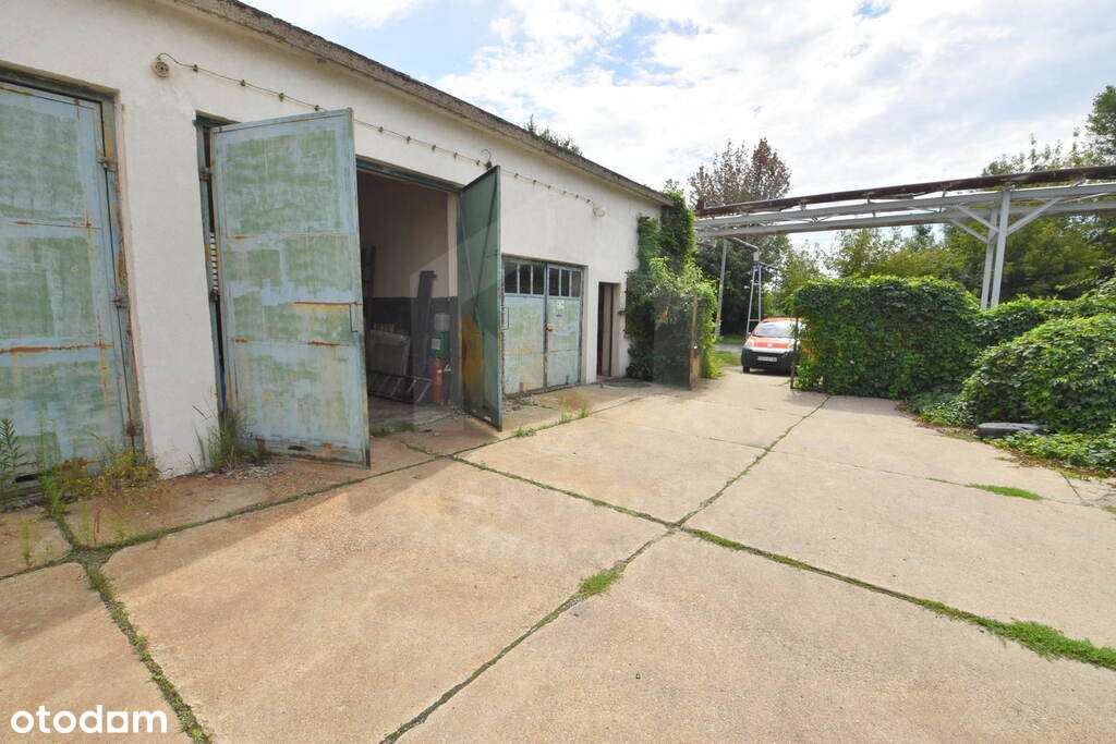 Azoty, Kędzierzyn Koźle - Pełny obrazek: 4/9