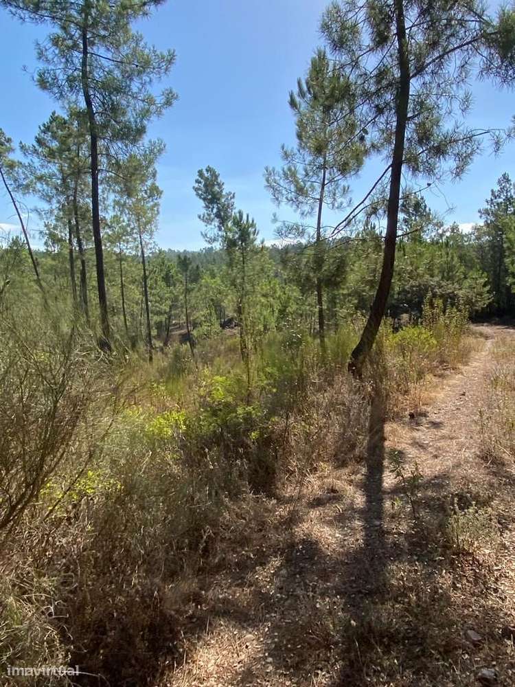 Terreno - Grande imagem: 4/9