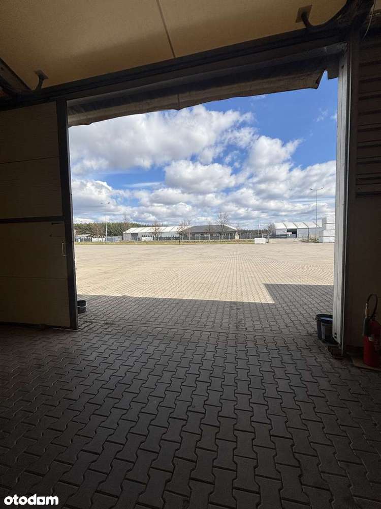 Plac/Hale/Magazyny - Pełny obrazek: 4/19