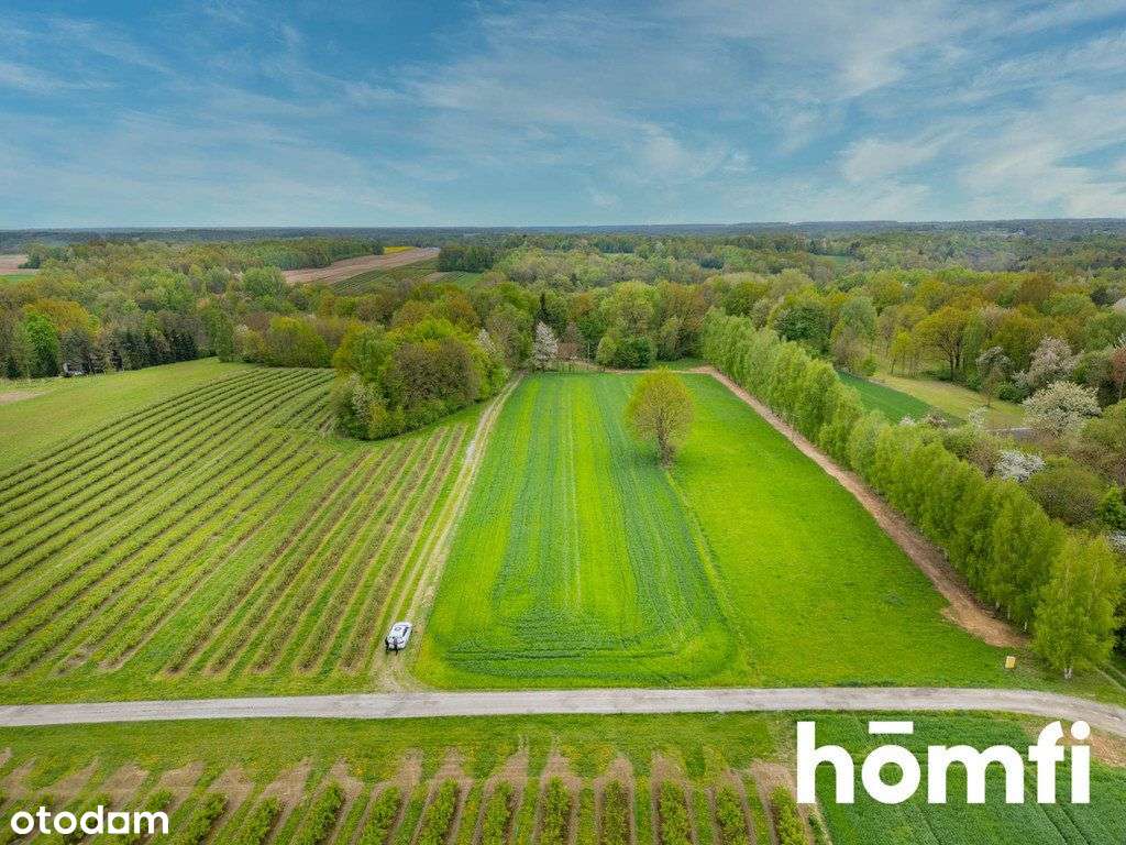 Malownicza działka w sąsiedztwie Nałęczowa - Pełny obrazek: 5/7