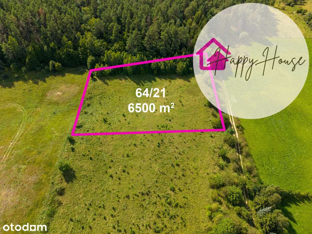 Działka Brajniki – 6,5 tys. m² blisko jeziora - Pełny obrazek: 5/8