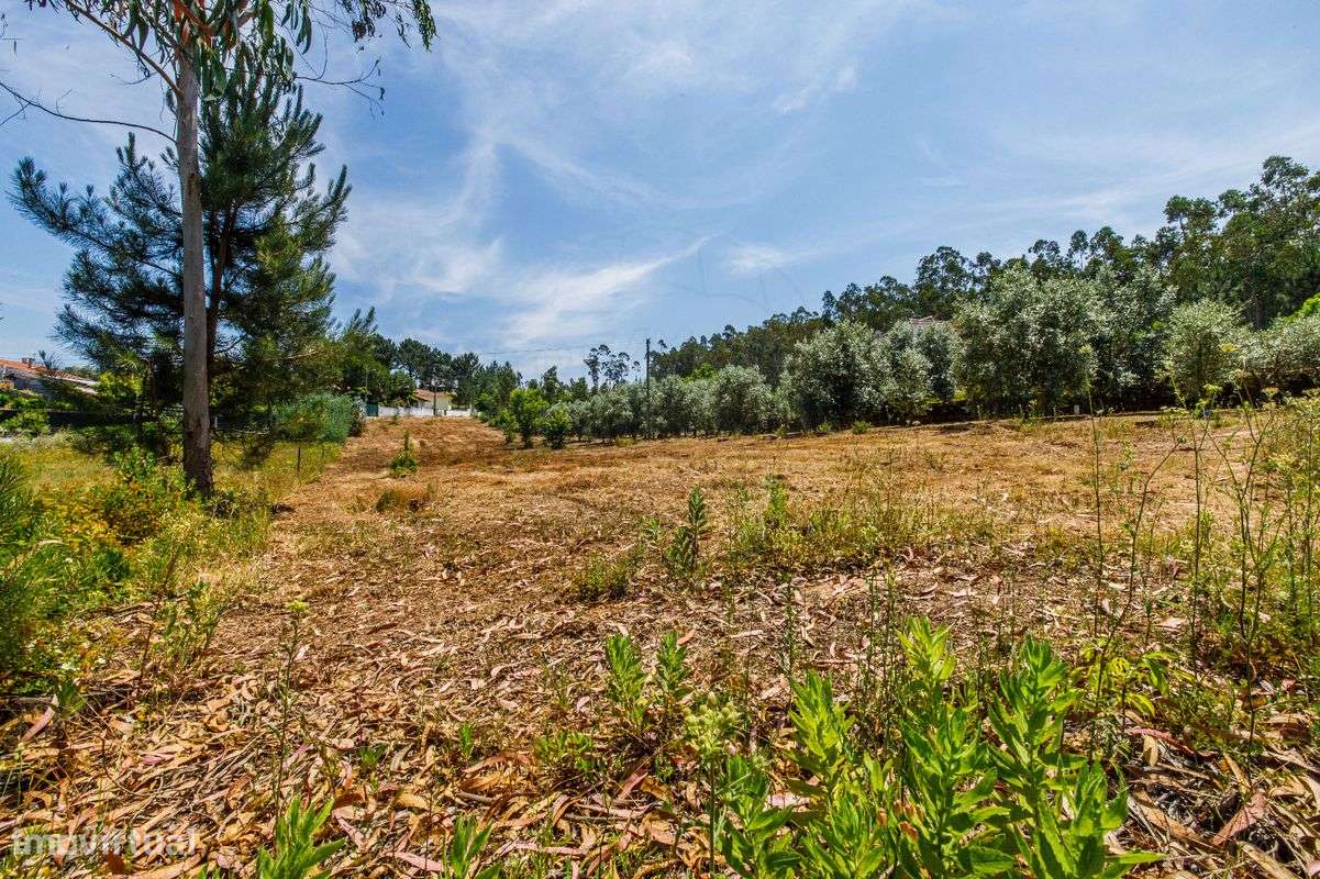 Terreno  para venda - Grande imagem: 4/6