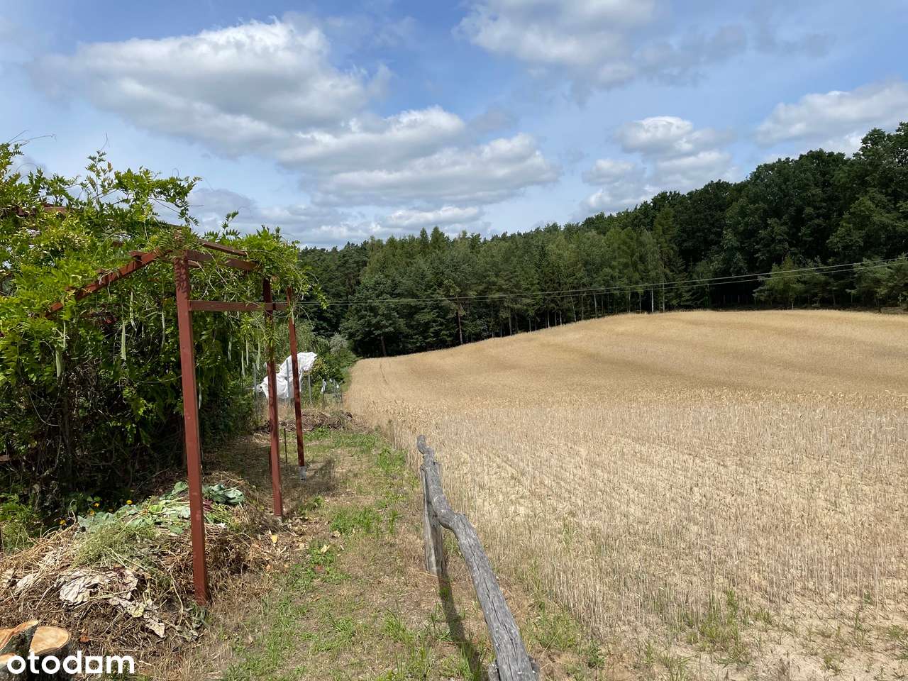 Wyjątkowy dom 158 m ² z 3 ha działką wśród lasów i jezior - Pełny obrazek: 5/20