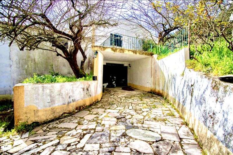 Herdade com 16 ha com moradia t5 -6nascentes e rio - Grande imagem: 4/12