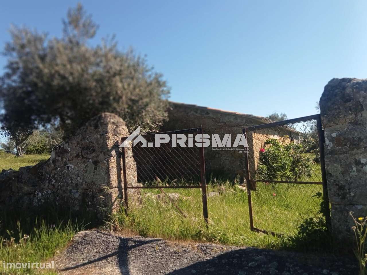 Quintinha para venda em Tinalhas, Castelo Branco-10