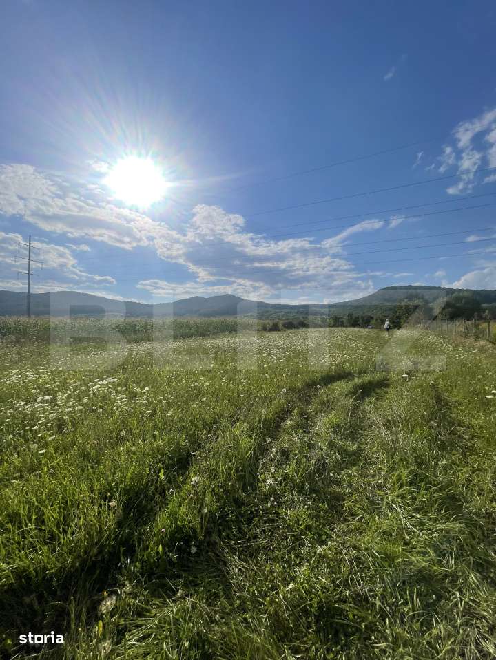 Teren intravilan Viisoara – ideal pentru casa sau investitie - Imagine principală: 1/2