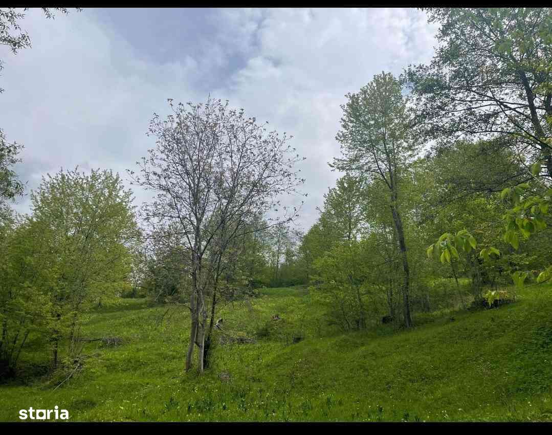 Teren de vanzare - Imagine principală: 4/6