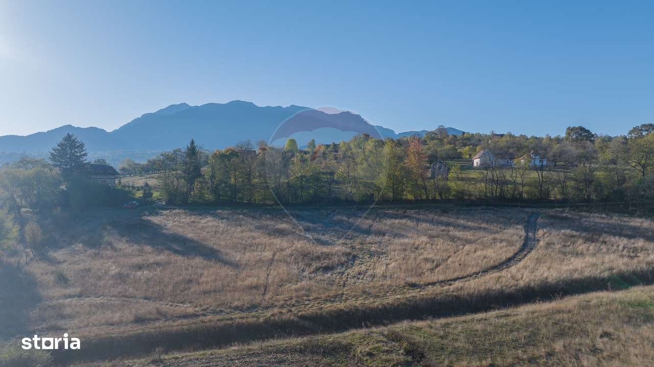 Comision 0% Teren de vânzare, zona Bran - Sohodol, 4000mp, parcelabil! - Imagine principală: 5/9