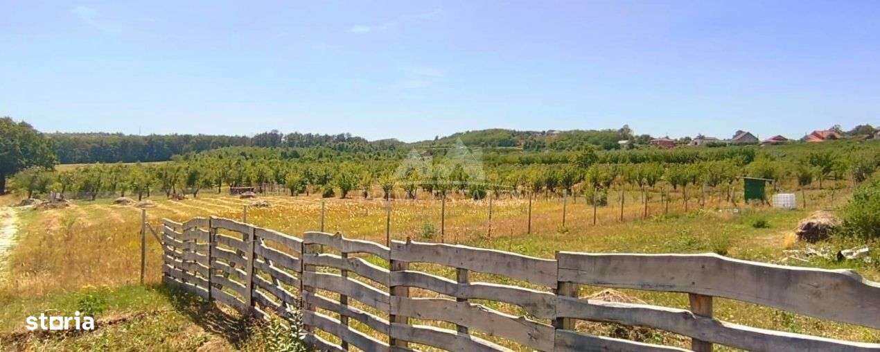 Teren intravilan de vanzare – Paleu, judetul Bihor - Imagine principală: 1/2