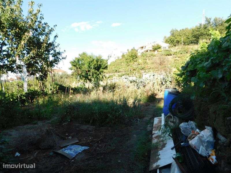 Terreno / Seia, Seia - Grande imagem: 5/11